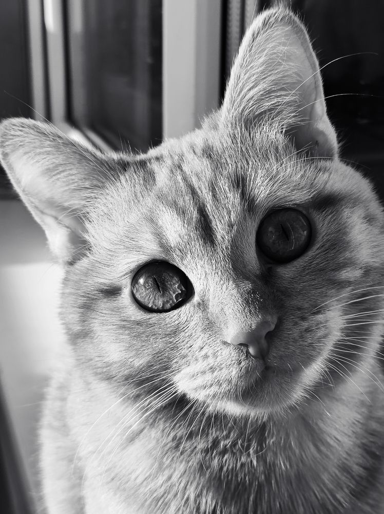 Photograph by Алеся Писнова