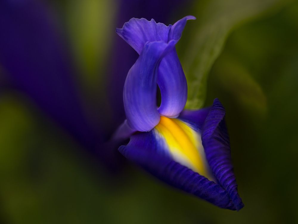 Photograph by Олег Тетерин