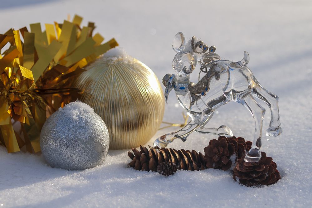 Photograph by Емельянов Алексей