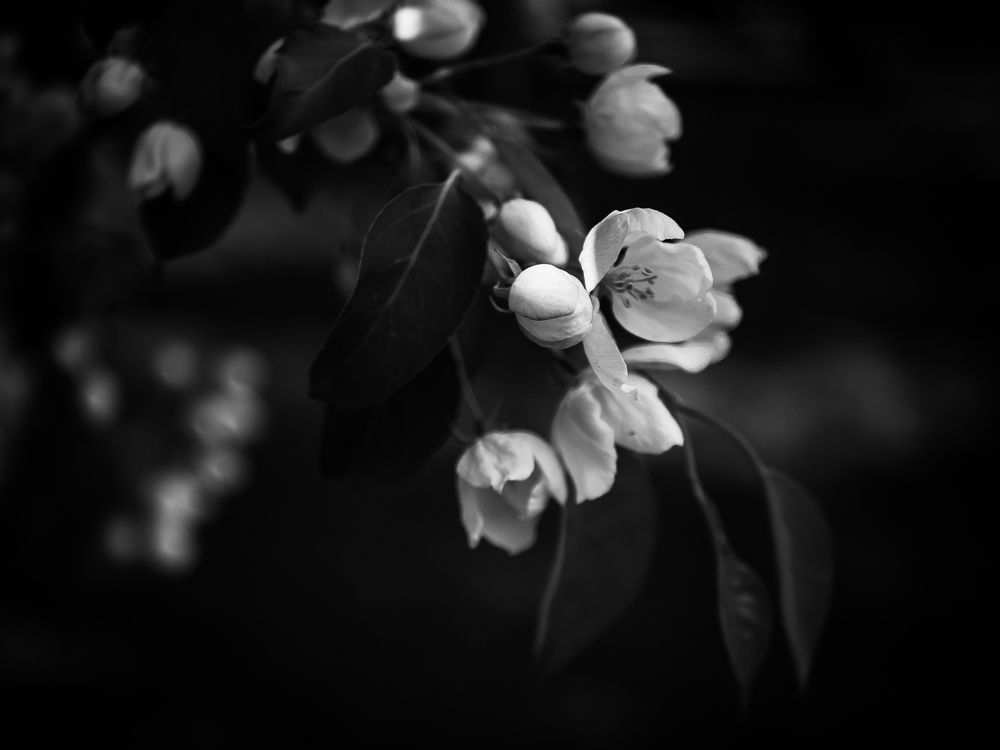 Photograph by Елена Берсенёва