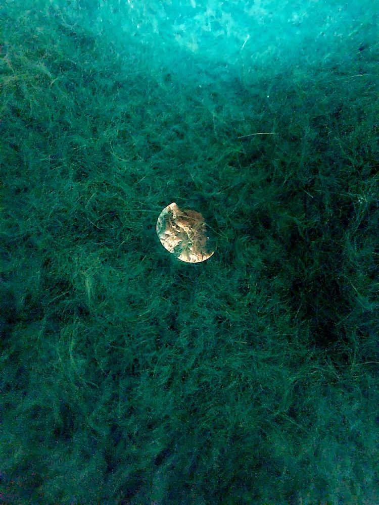 Photograph by Нина Паршина