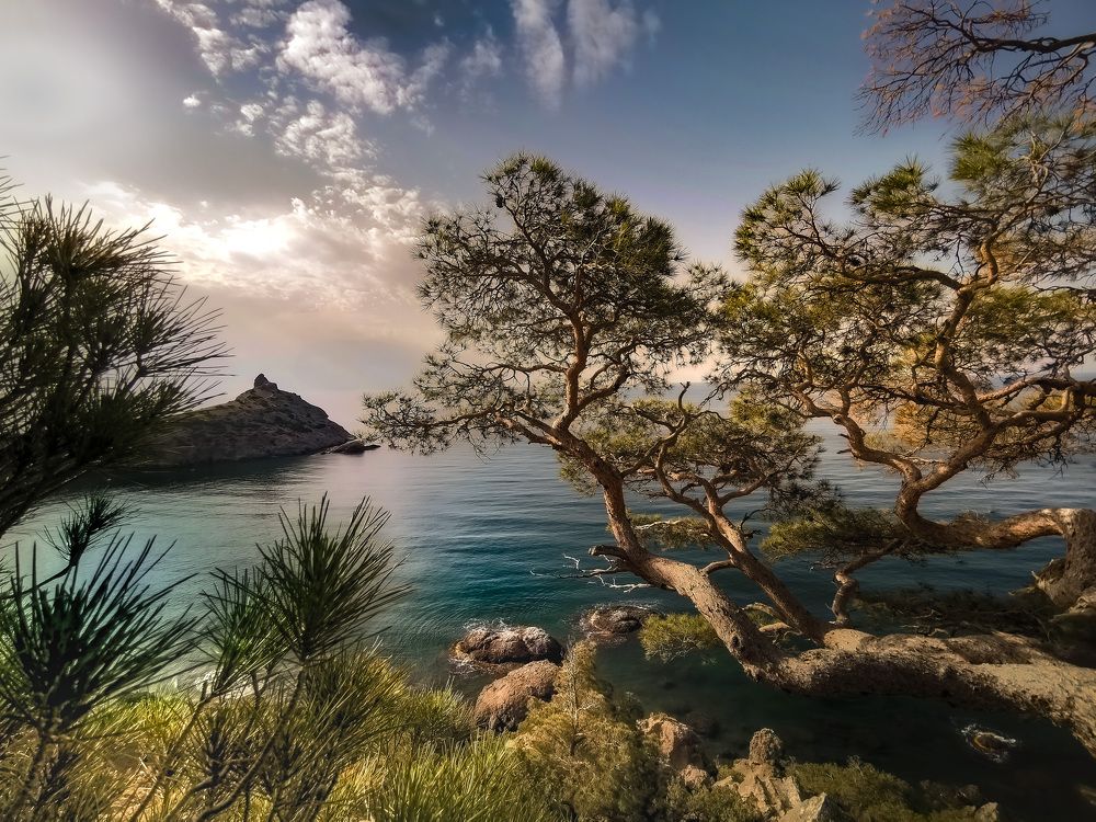 Photograph by Разумов Александр