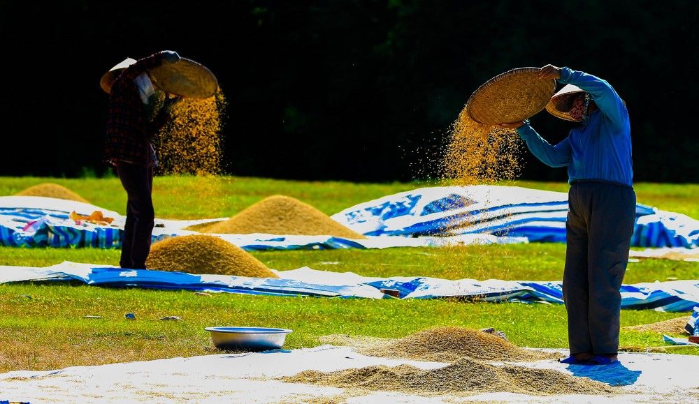 Photograph by tư nguyễn