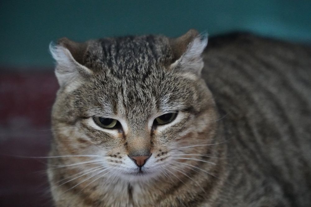 Photograph by Максим Роганов