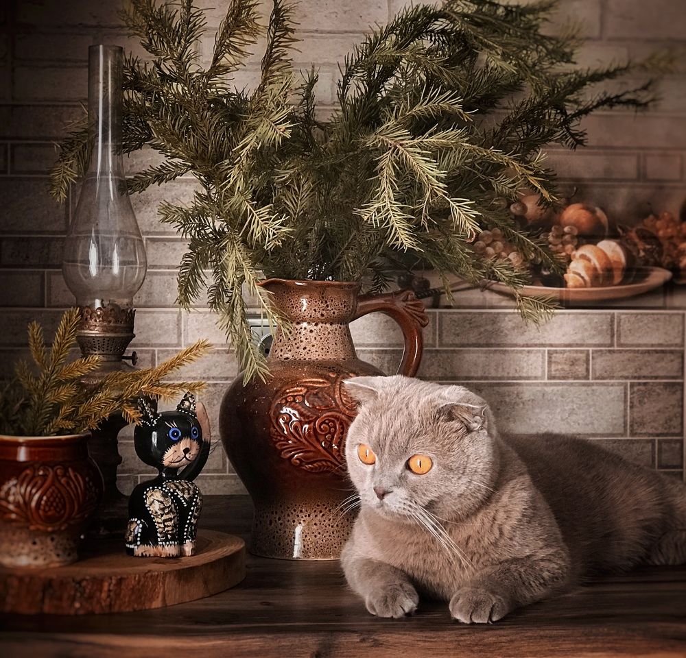 Photograph by Наталья Перерва