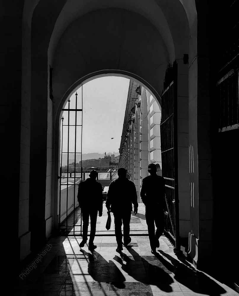 Photo #8842732