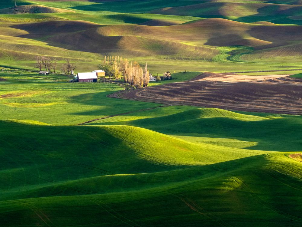 Photograph by Annette Taberner-Miller