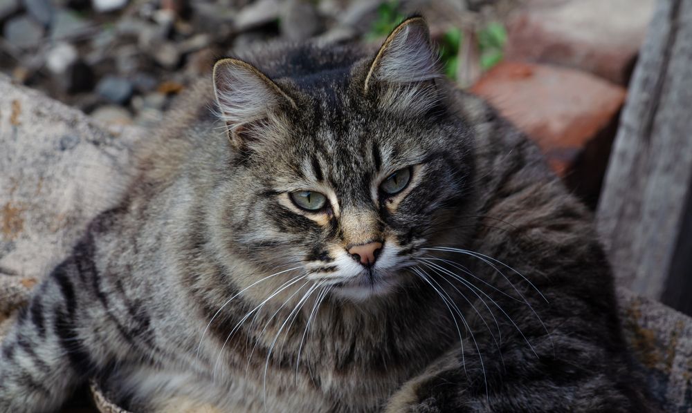 Photograph by Юрий Кизин