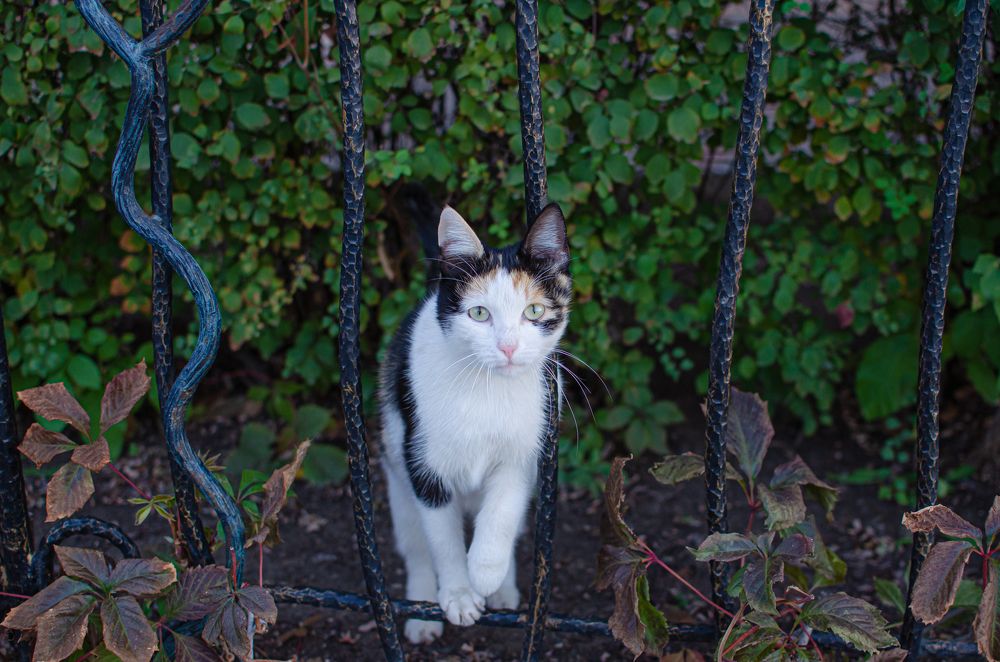 Photograph by Юрий Кизин