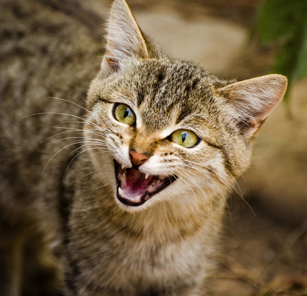 Photograph by Юрий Кизин