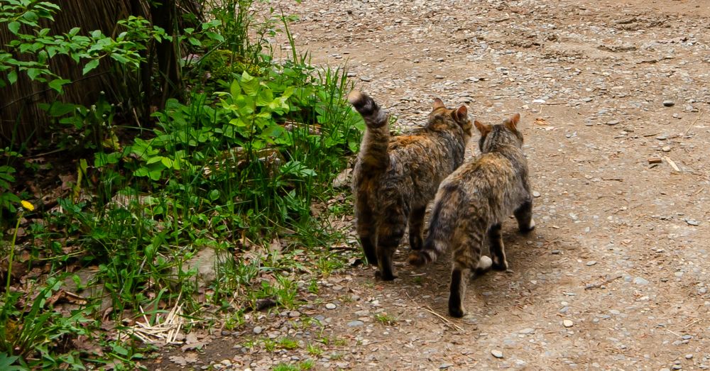 Photograph by Юрий Кизин