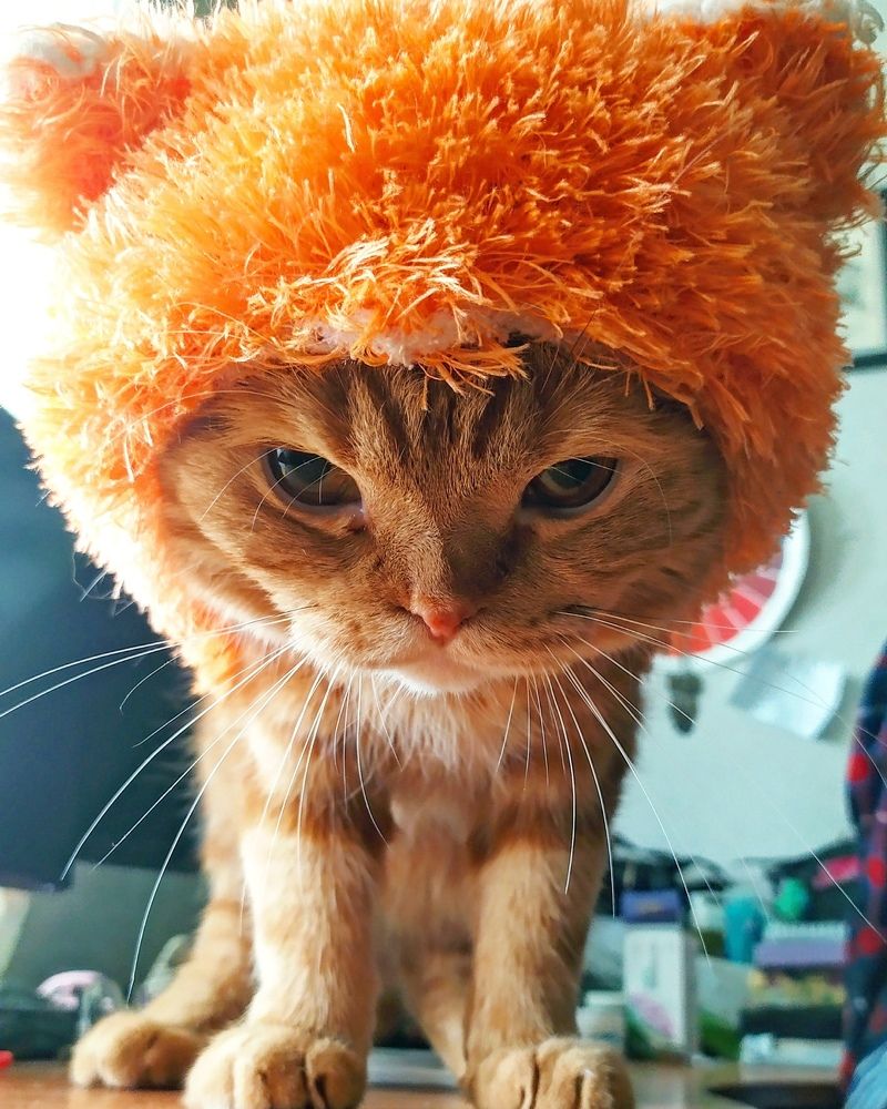 Photograph by Любовь Фурс