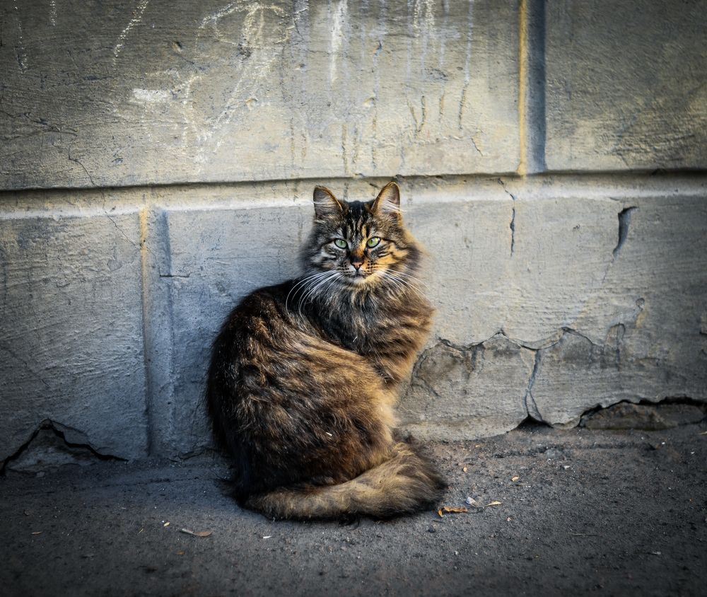 Photograph by Анна Голубова