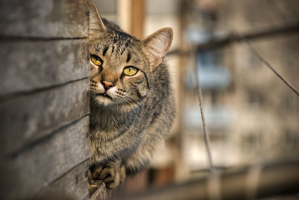 Photograph by Любовь Фурс