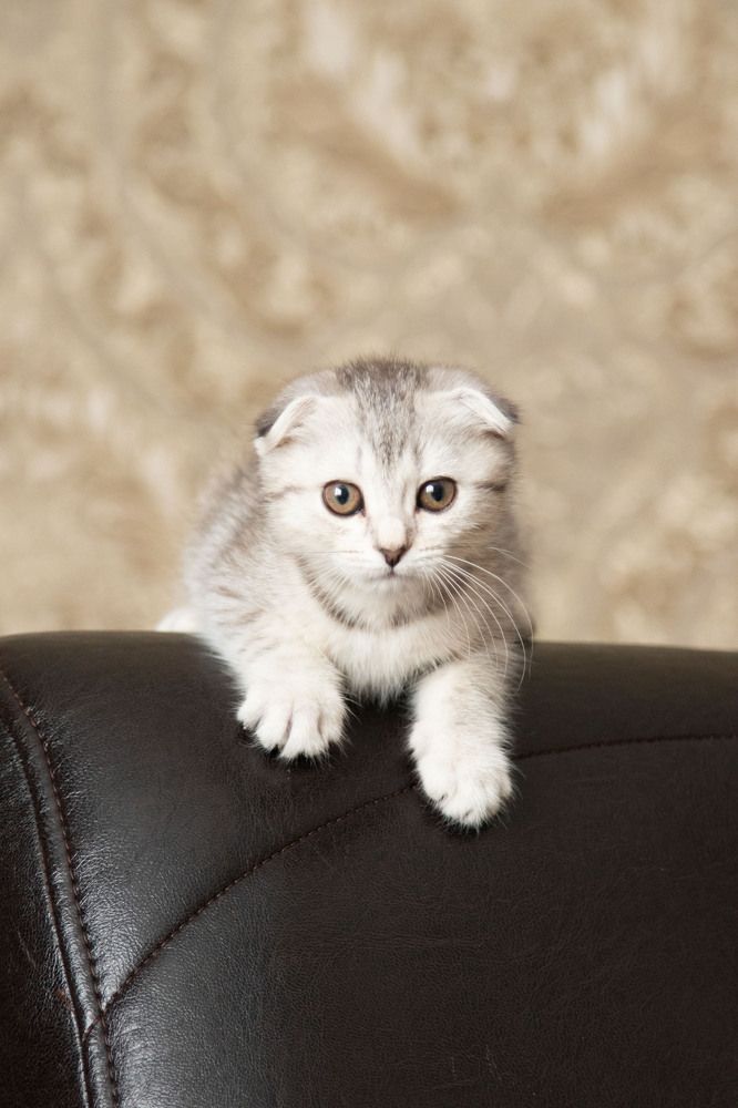 Photograph by Екатерина Лямзина