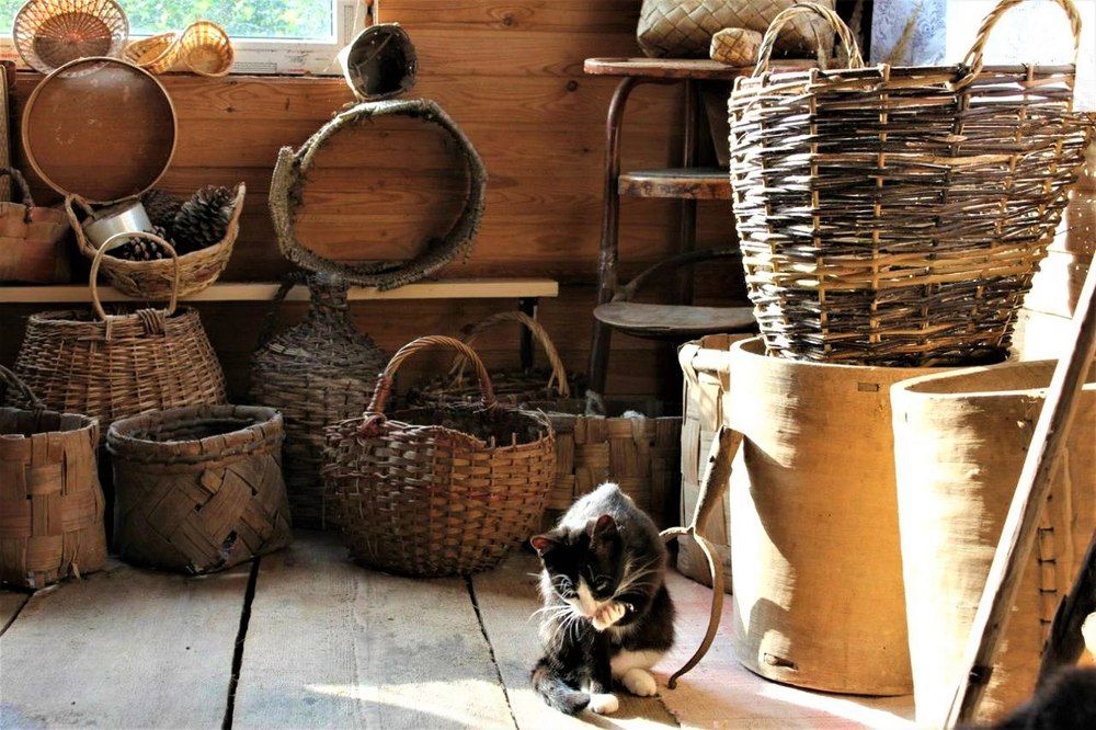 Photograph by Светлана Иванова