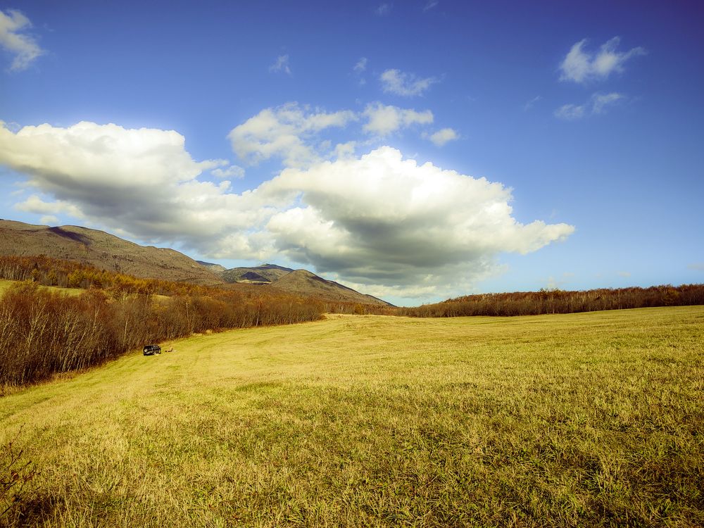 Бескрайний луг