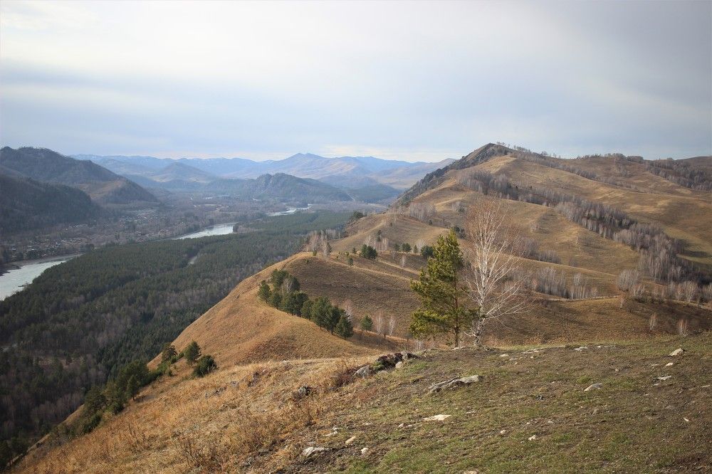 Photograph by Ольга Баркова