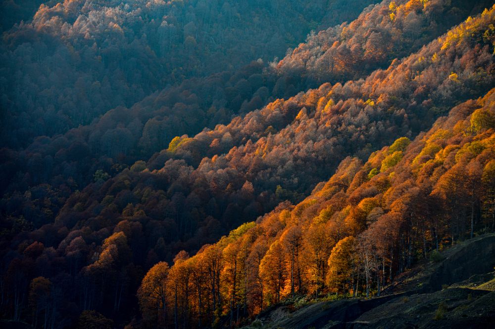 Оранжевый закат в голубой дымке