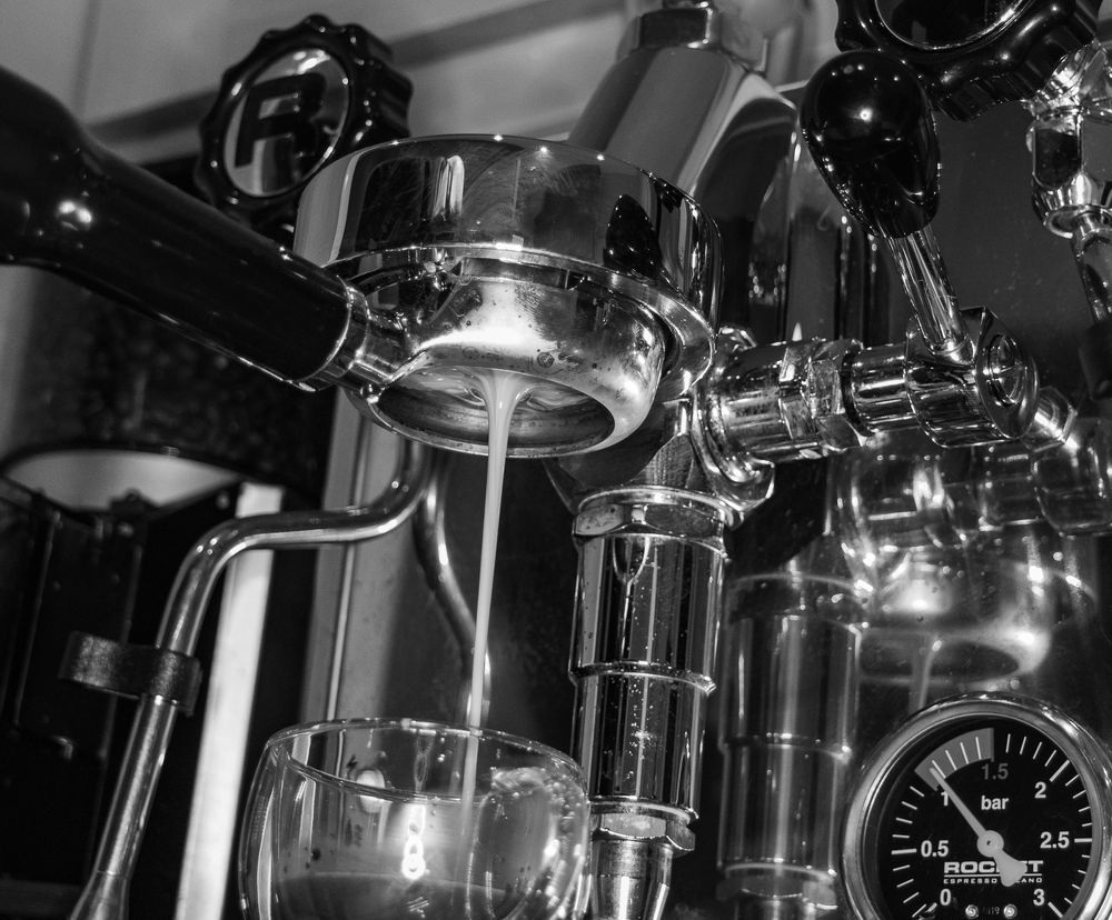 Photograph by Gareth Jones