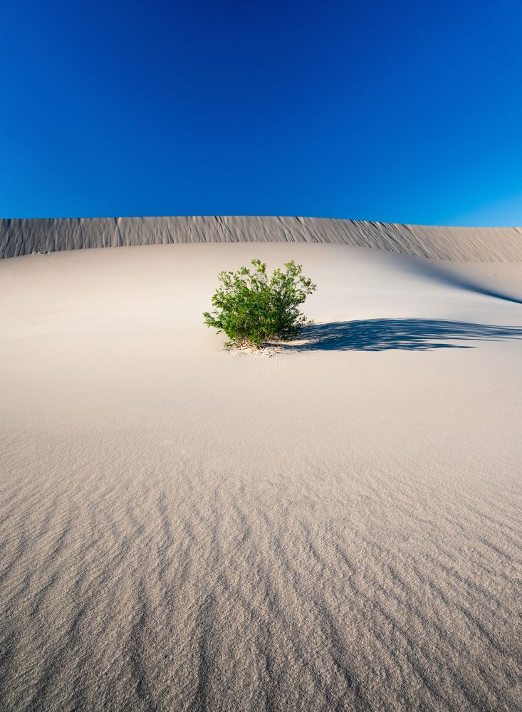 Photograph by Alexander Efimenko