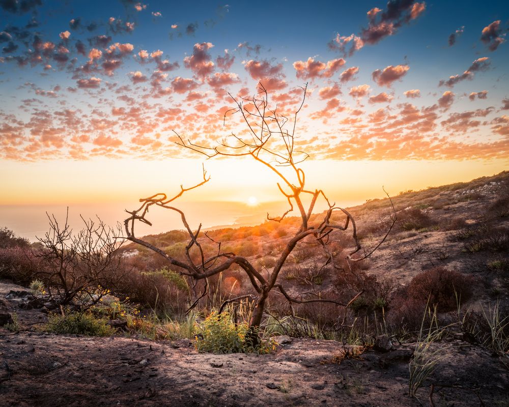 Photograph by Alexander Efimenko