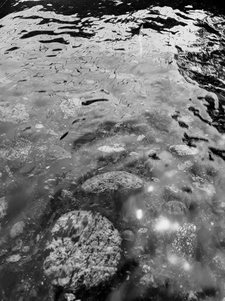 EL BRILLO DE LA VIDA