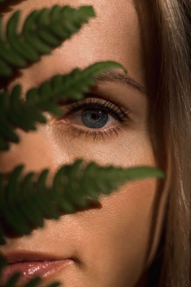 Взгляд сквозь время