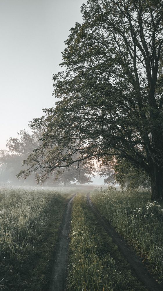 Photograph by Сергей