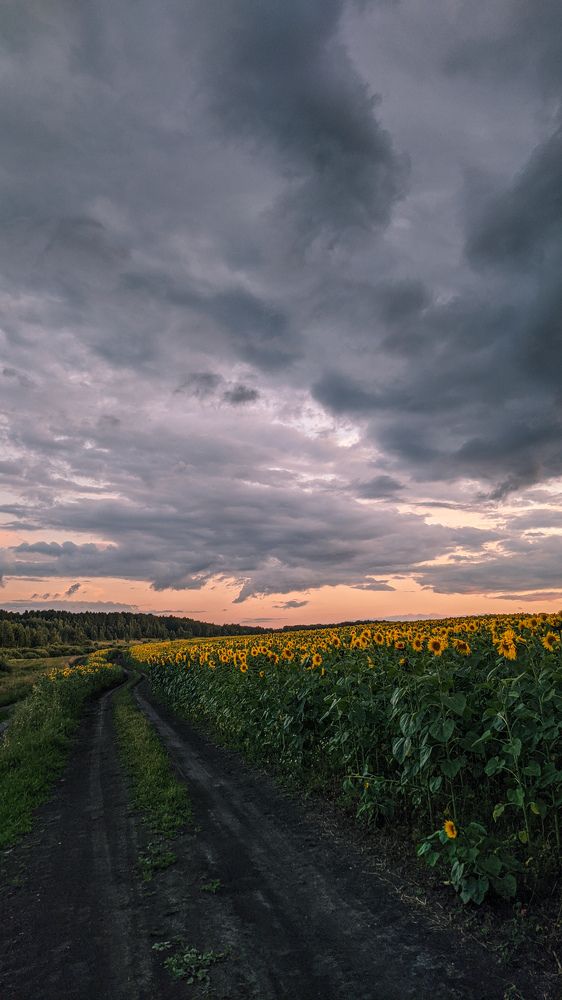 Photograph by Сергей
