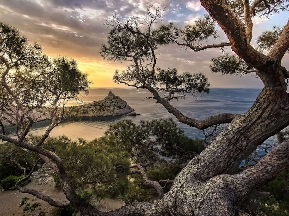 Photograph by Разумов Александр