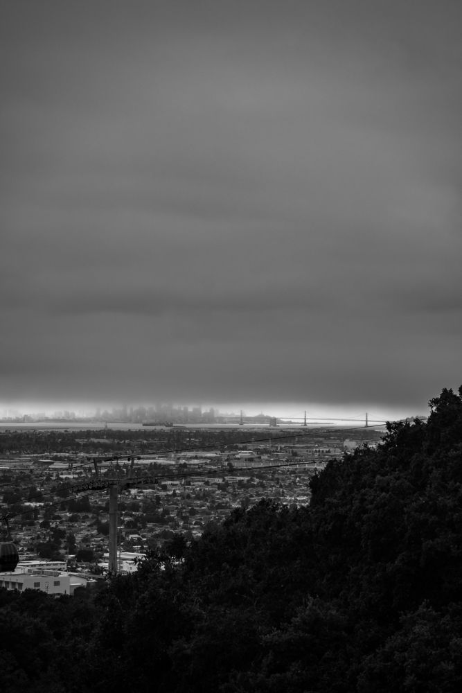 Photograph by Anna Vlasova