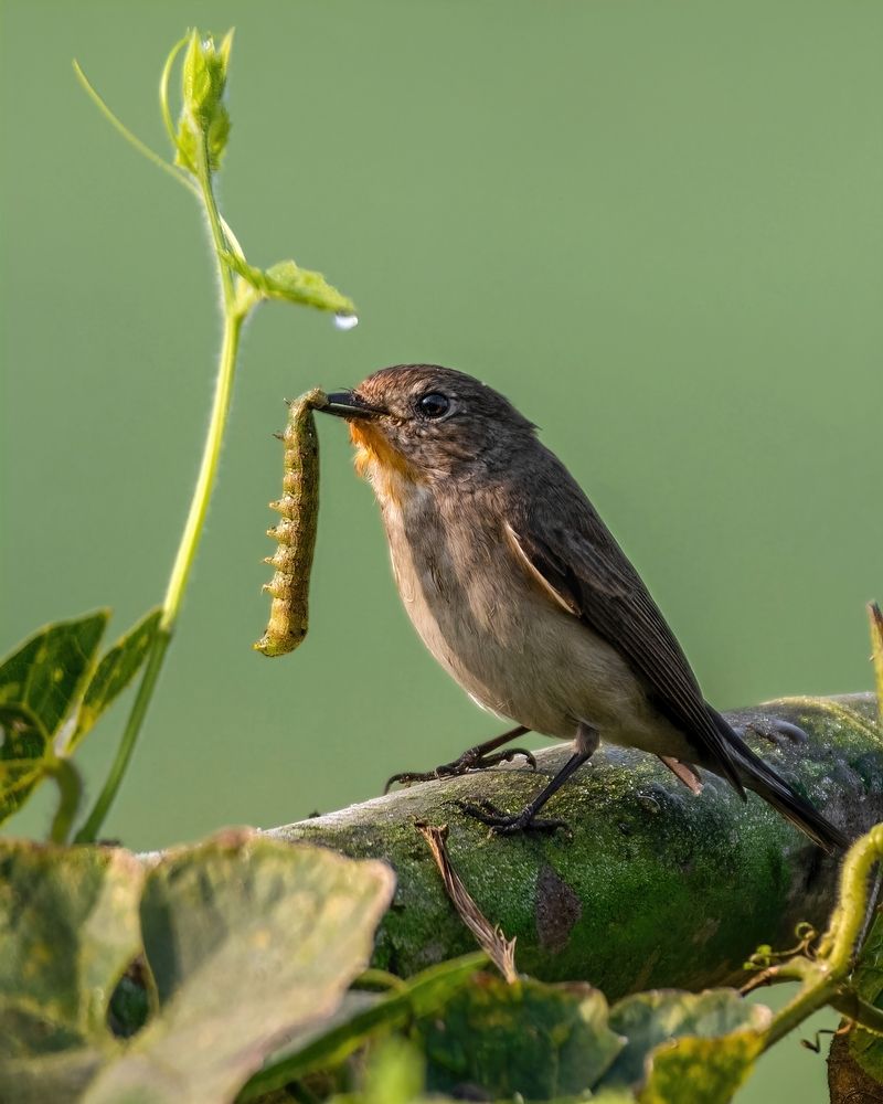 Photograph by Madhurya Mozumder