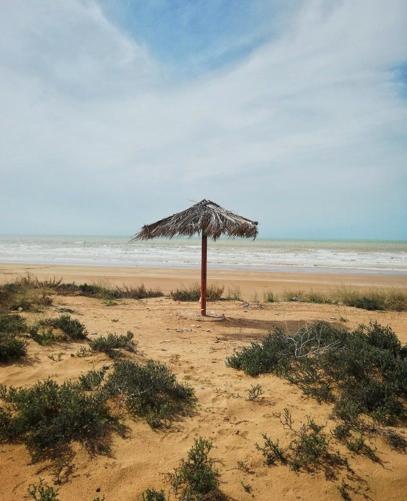 Фотография автора sharareh ahmadpoor