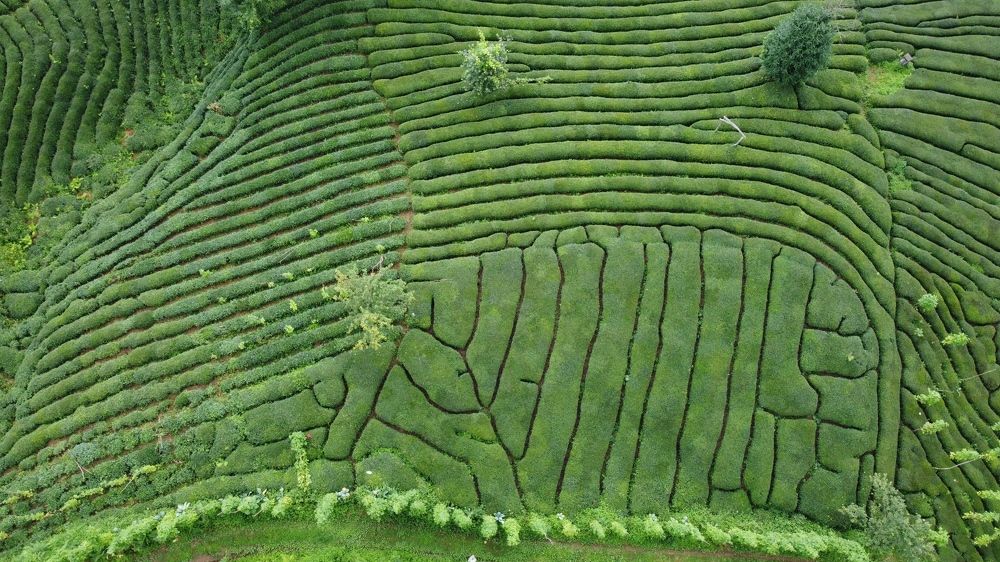 Photograph by Ercan Ozturk