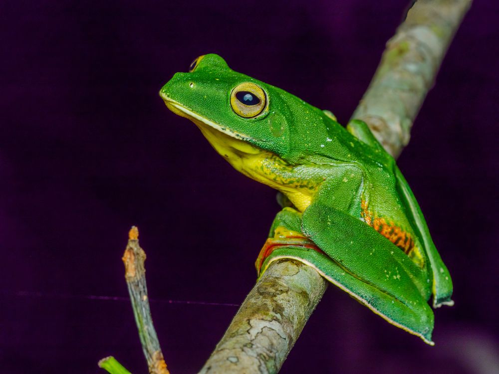 Photograph by Venkat Mangudi