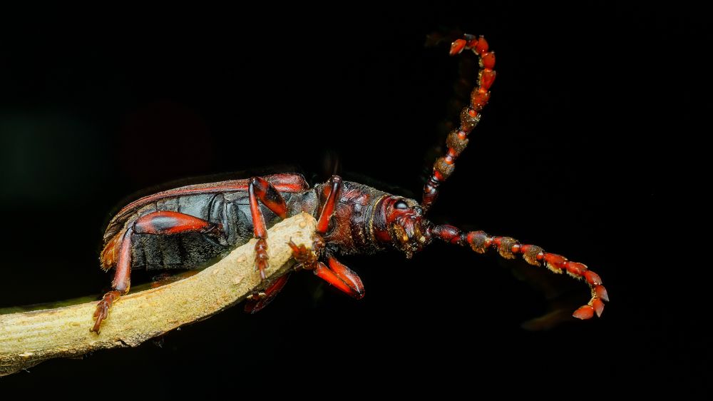 Photograph by Venkat Mangudi