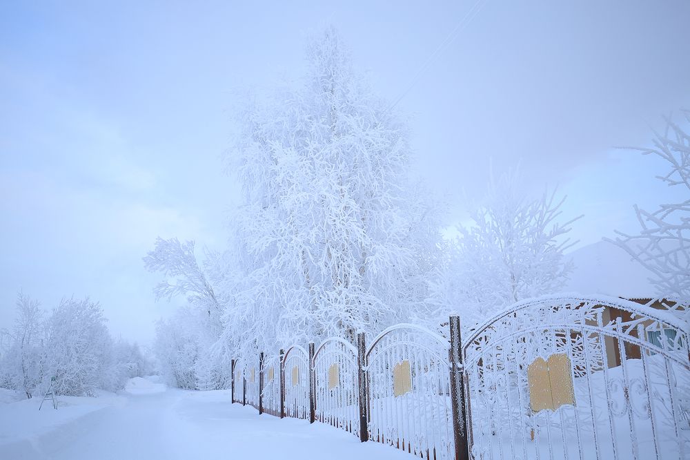 Зимний сюрреализм