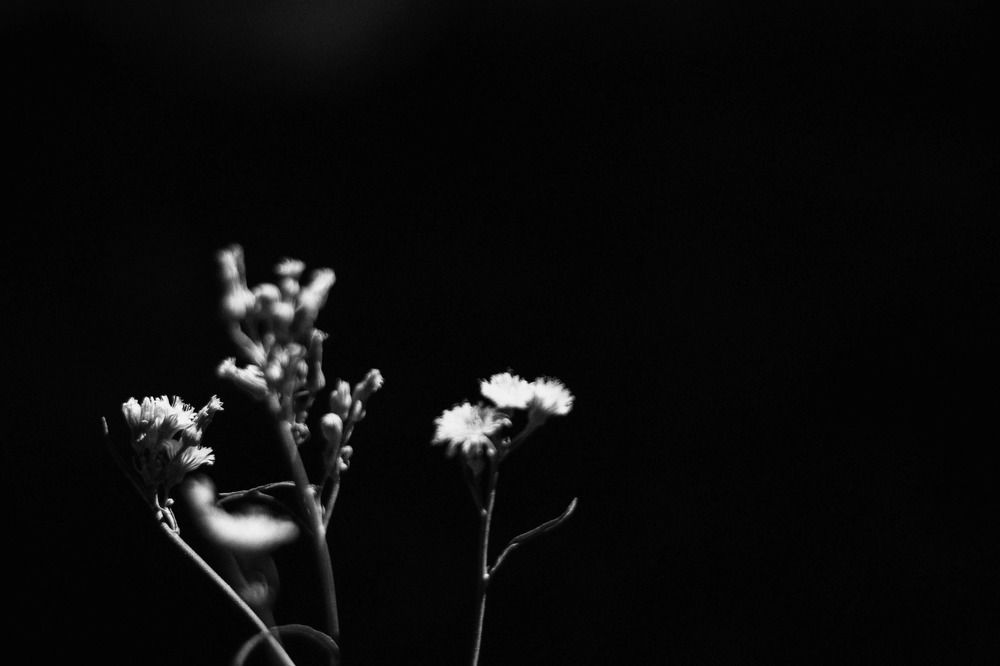 Photograph by Вера Майданова