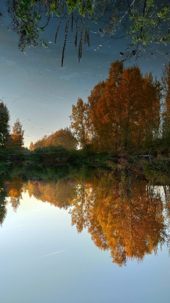 Photograph by Елена Алексеева