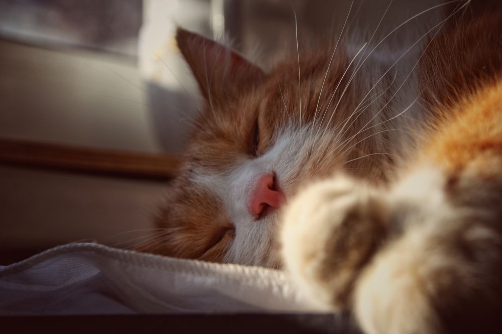 Photograph by Никита Брутман Broutman