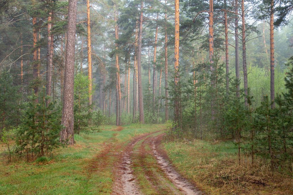 Photograph by Дмитрий Алексеев