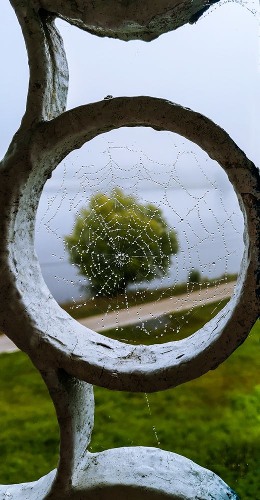 Photograph by Елена Алексеева