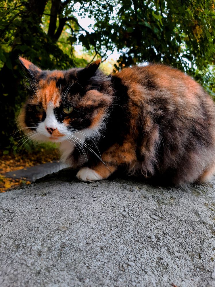 Photograph by Елизавета Иванова