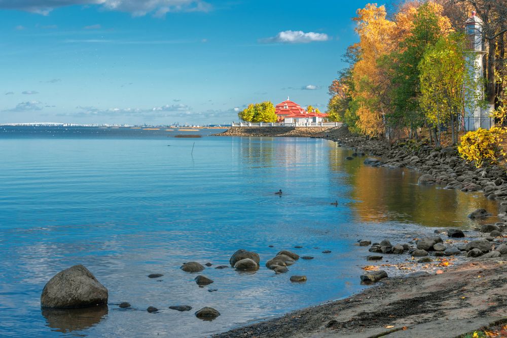 Петергофская акварельная осень...Дворец "Монплезир"