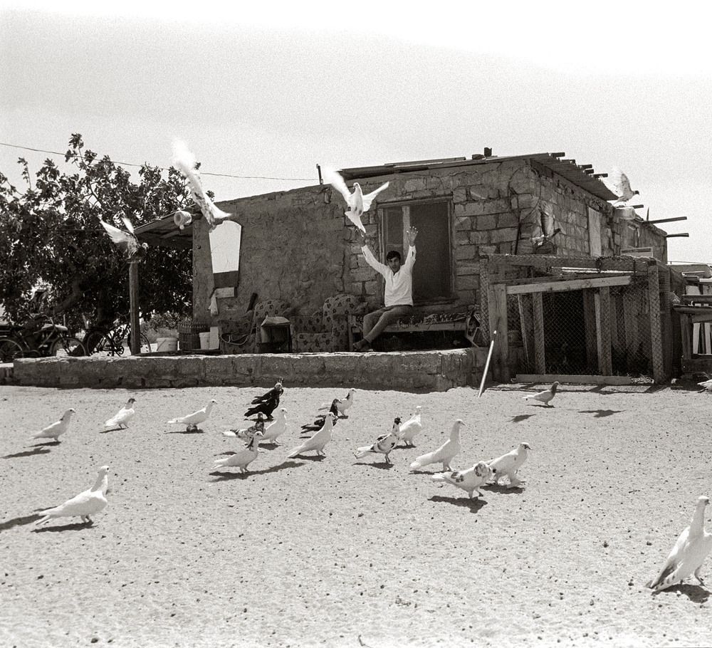 Looking Into The Sky