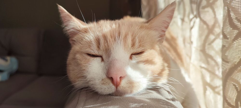 Photograph by Евгений Захаров