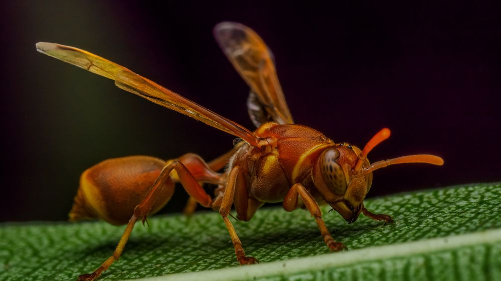 Photograph by Venkat Mangudi