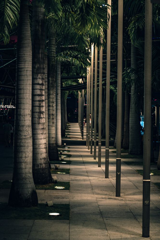 Photograph by Анастасия Оллилайнен