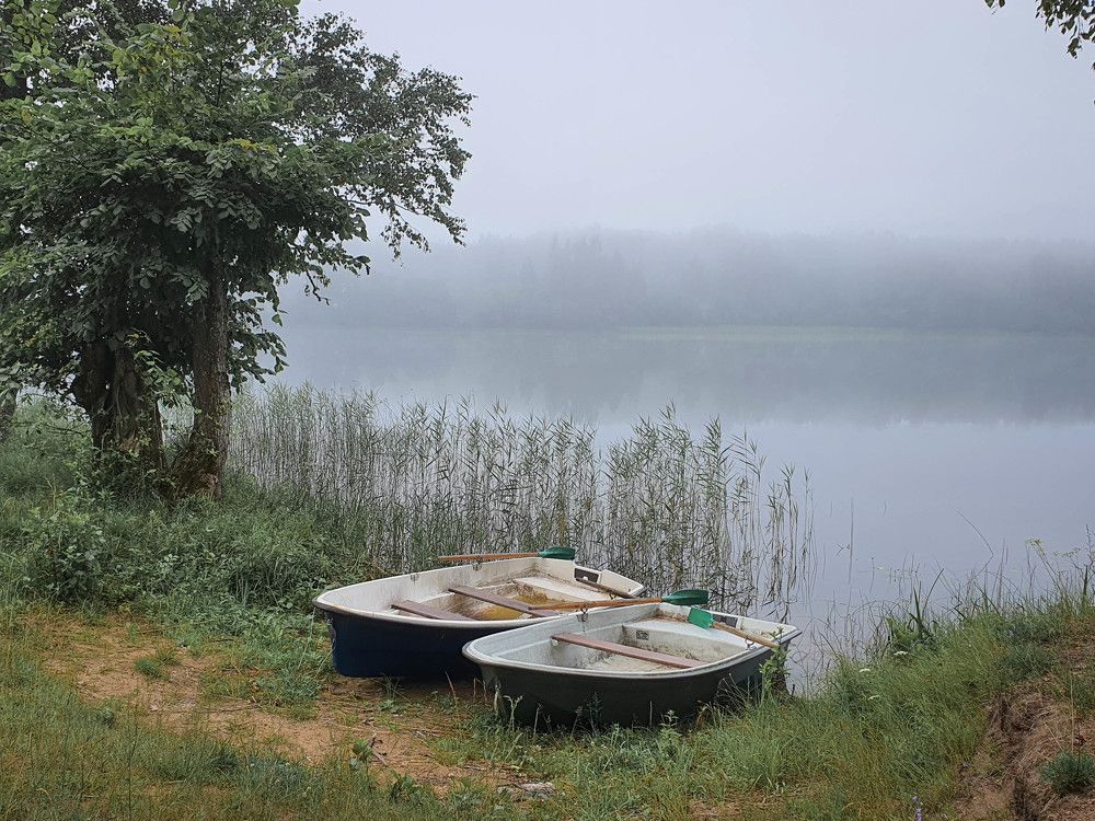 Photograph by Светлана Корнелюк